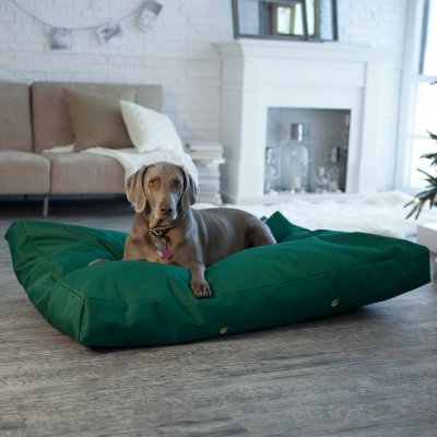 Dog Doza Dog Bed Chew proof waterproof